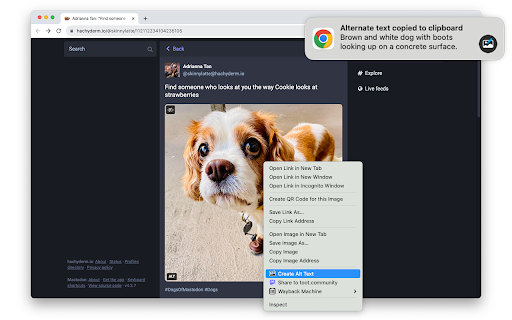 Alt Text Creator with GPT 4o  from Chrome web store to be run with OffiDocs Chromium online