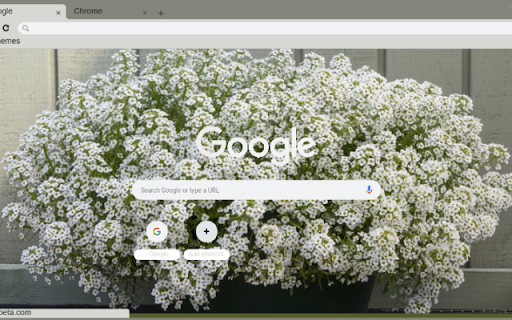 Alyssum  from Chrome web store to be run with OffiDocs Chromium online
