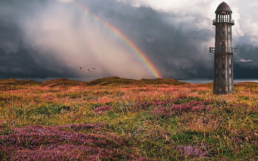 amazing nature  from Chrome web store to be run with OffiDocs Chromium online