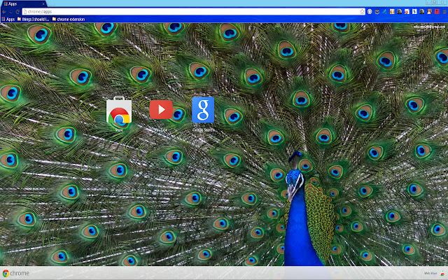 Amazing Peafowl  from Chrome web store to be run with OffiDocs Chromium online