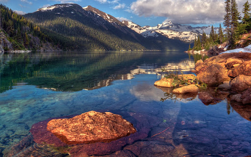 Amazon River  from Chrome web store to be run with OffiDocs Chromium online