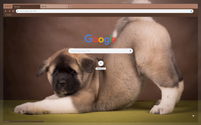 American Akita  from Chrome web store to be run with OffiDocs Chromium online