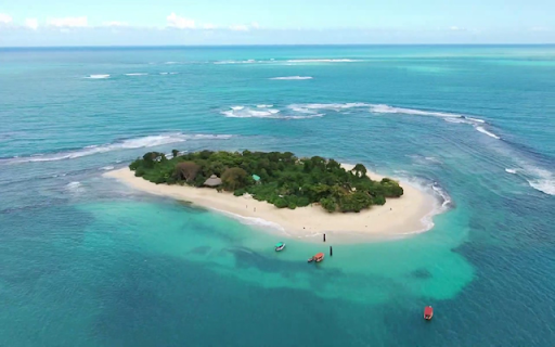 Amiga Island  from Chrome web store to be run with OffiDocs Chromium online