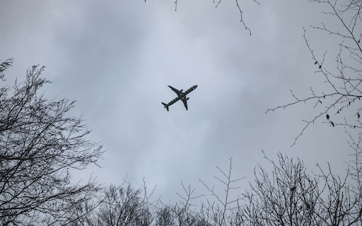 An airplane flying through the trees in a cloudy sky  from Chrome web store to be run with OffiDocs Chromium online