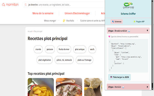 Analyse du balisage Schema by NDW  from Chrome web store to be run with OffiDocs Chromium online