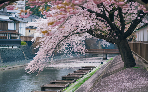 Ancient flower roots  from Chrome web store to be run with OffiDocs Chromium online