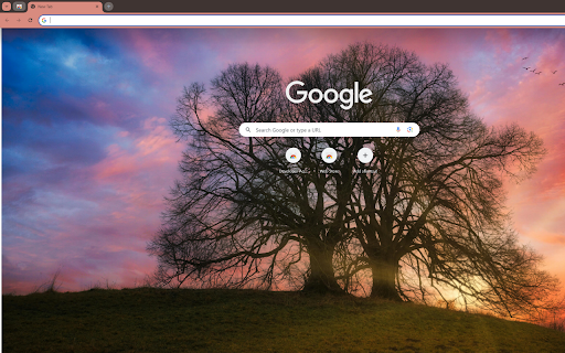 ancient tree atop a hill bathed in the golden  from Chrome web store to be run with OffiDocs Chromium online