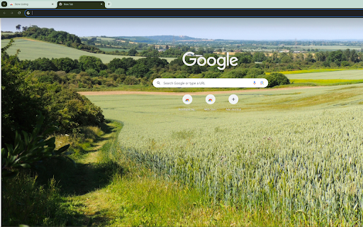 an expansive wheat field on the prairie  from Chrome web store to be run with OffiDocs Chromium online