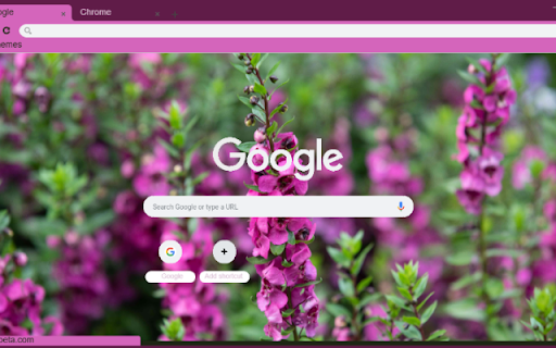 Angelonia  from Chrome web store to be run with OffiDocs Chromium online