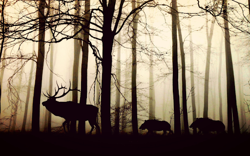 Animals in the old forest  from Chrome web store to be run with OffiDocs Chromium online