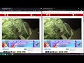 Anime Watch Parties  from Chrome web store to be run with OffiDocs Chromium online