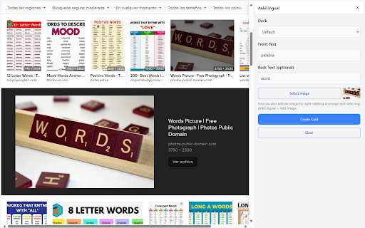 AnkiLingual  from Chrome web store to be run with OffiDocs Chromium online