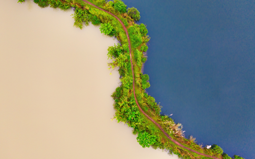 An S Shaped Grove Dividing Sea and Sand  from Chrome web store to be run with OffiDocs Chromium online