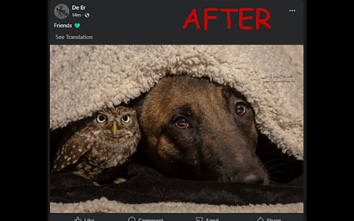 AntiBook  from Chrome web store to be run with OffiDocs Chromium online