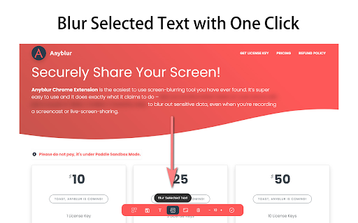 Anyblur Conceal Sensitive Data in One Click  from Chrome web store to be run with OffiDocs Chromium online