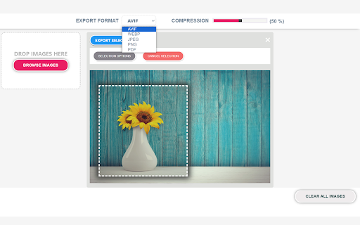 Any Image Converter  from Chrome web store to be run with OffiDocs Chromium online