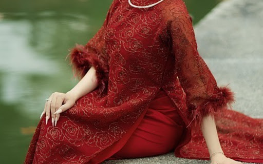 AO DAI THEME  from Chrome web store to be run with OffiDocs Chromium online