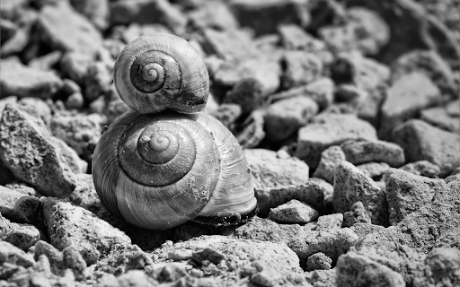 A pair of snails  from Chrome web store to be run with OffiDocs Chromium online