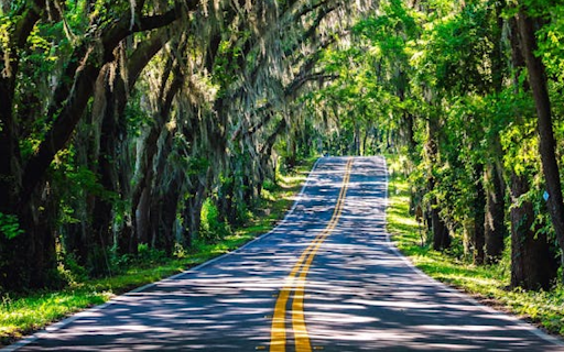 A picturesque winding road  from Chrome web store to be run with OffiDocs Chromium online