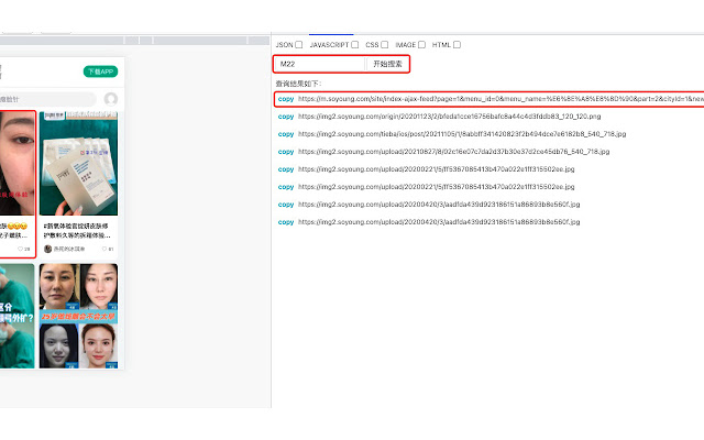 Api-zoekopdracht vanuit de Chrome-webwinkel om uit te voeren met OffiDocs Chromium online