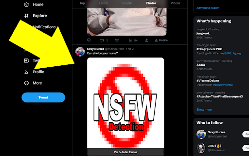 Apolo Protector  from Chrome web store to be run with OffiDocs Chromium online