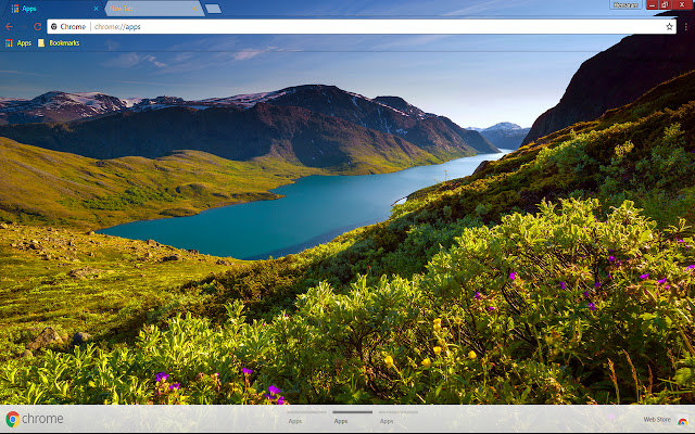 Appealing Nature  from Chrome web store to be run with OffiDocs Chromium online