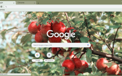 Apple  from Chrome web store to be run with OffiDocs Chromium online