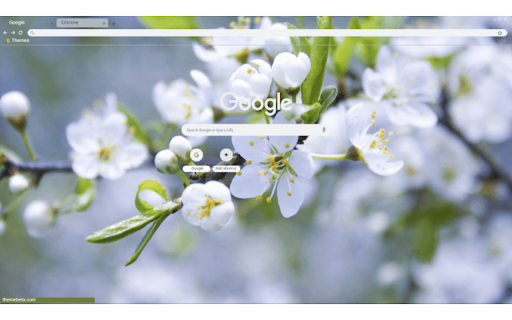 Apple Blossom  from Chrome web store to be run with OffiDocs Chromium online