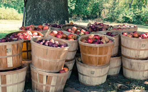 Apple crates  from Chrome web store to be run with OffiDocs Chromium online