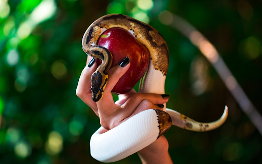 Apple hand and flower snake  from Chrome web store to be run with OffiDocs Chromium online