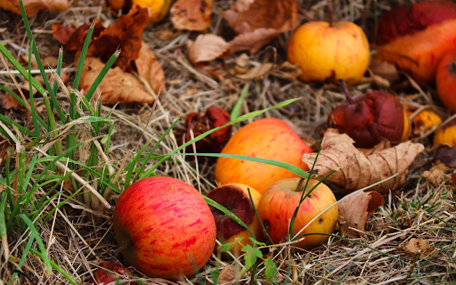 Apples fall from their roots from Chrome web store to be run with OffiDocs Chromium online Apples fall from their roots from Chrome web store to be run with OffiDocs Chromium online