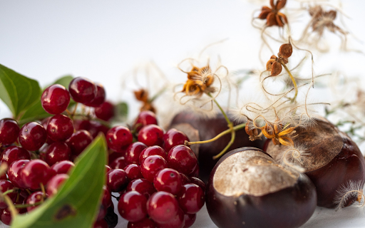 Apricots and chestnuts  from Chrome web store to be run with OffiDocs Chromium online