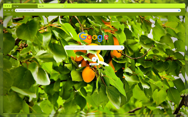 Apricots in the foliage  from Chrome web store to be run with OffiDocs Chromium online