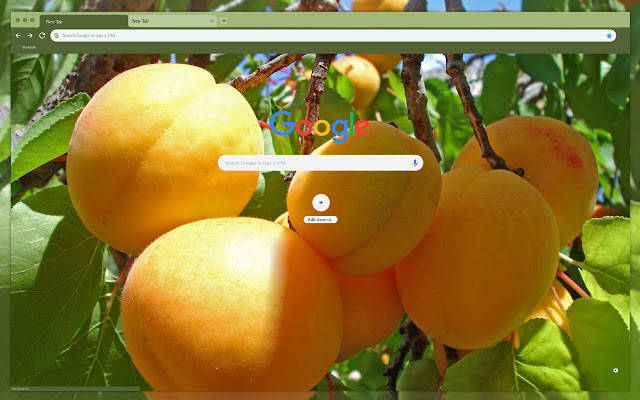 Apricot tree branch  from Chrome web store to be run with OffiDocs Chromium online