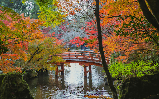 Arched bridge over calm lake in Japanese park  from Chrome web store to be run with OffiDocs Chromium online