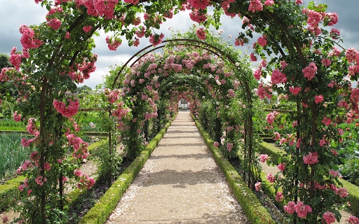 Arc shaped pink dome  from Chrome web store to be run with OffiDocs Chromium online