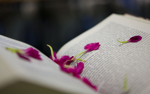 A Readers Keepsake  from Chrome web store to be run with OffiDocs Chromium online