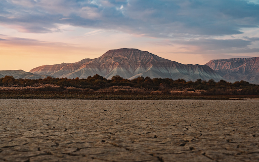 Arid land  from Chrome web store to be run with OffiDocs Chromium online