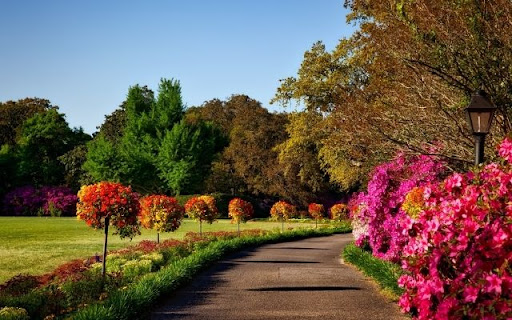 A Riot of Azalea Hues from Chrome web store to be run with OffiDocs Chromium online A Riot of Azalea Hues from Chrome web store to be run with OffiDocs Chromium online