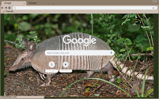 Armadillo  from Chrome web store to be run with OffiDocs Chromium online
