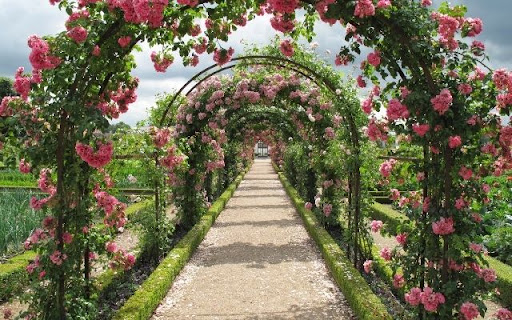 A Rose Adorned Pergola Pathway  from Chrome web store to be run with OffiDocs Chromium online