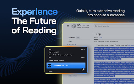 Article Summarizer AI  from Chrome web store to be run with OffiDocs Chromium online