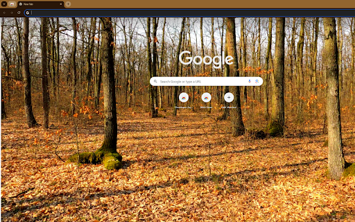 artistically captures a pine forest in autumn  from Chrome web store to be run with OffiDocs Chromium online