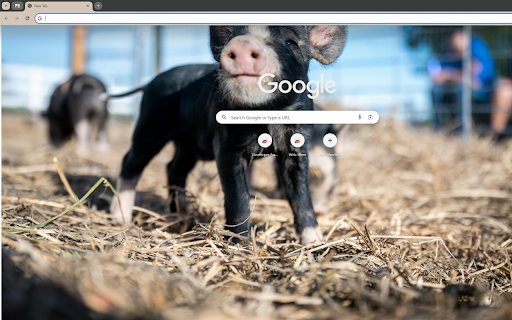 artistically captures my piglet, Molia  from Chrome web store to be run with OffiDocs Chromium online
