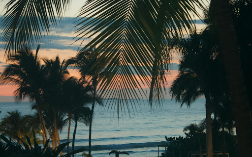 A Scenic Shot of the Seaside  from Chrome web store to be run with OffiDocs Chromium online