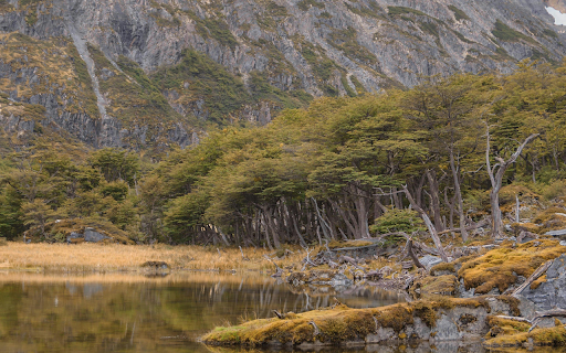 A Scenic Shot of Ushuaia, Argentina  from Chrome web store to be run with OffiDocs Chromium online