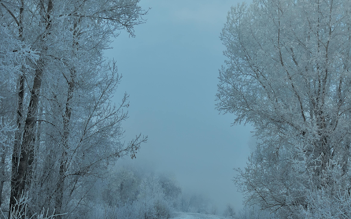 A Snow Covered Road in the Countryside  from Chrome web store to be run with OffiDocs Chromium online