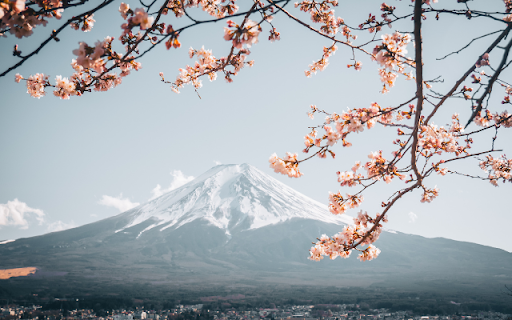A Spring Vista with Mount Fuji  from Chrome web store to be run with OffiDocs Chromium online