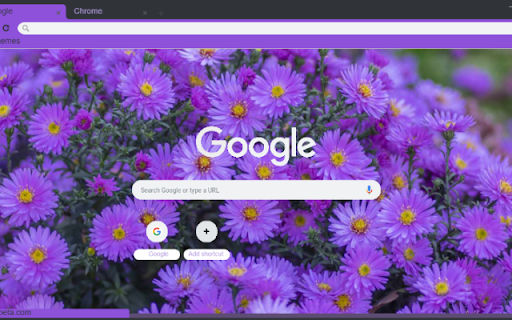 Aster  from Chrome web store to be run with OffiDocs Chromium online