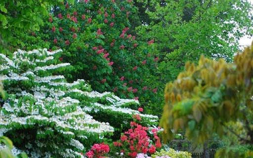 A Tapestry of Springtime Blooms  from Chrome web store to be run with OffiDocs Chromium online